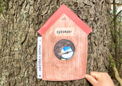 PTAČÍ BUDKA- NÁVŠTĚVA U SÝKOREK