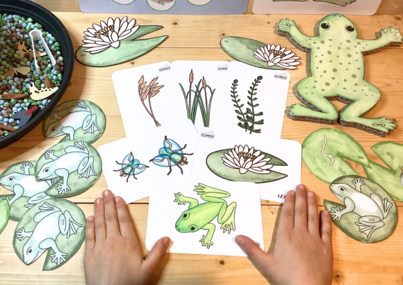 ŽABKA - senzorické hraní - PDF: POLOTOVAR 