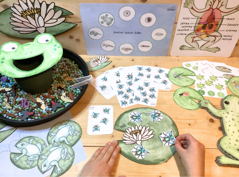 ŽABKA - senzorické hraní - PDF: POLOTOVAR 