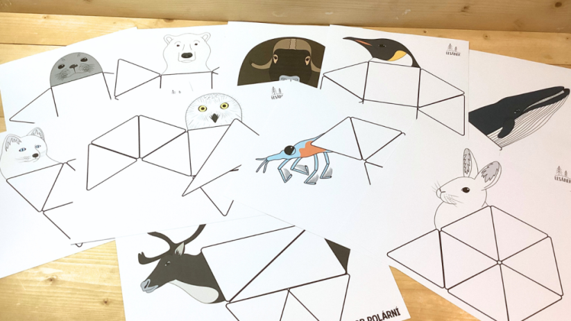 POLÁRNÍ ZVÍŘATA ŠABLONY - HRÁTKY S MAGNETICKOU STAVEBNICÍ - PDF: PDF