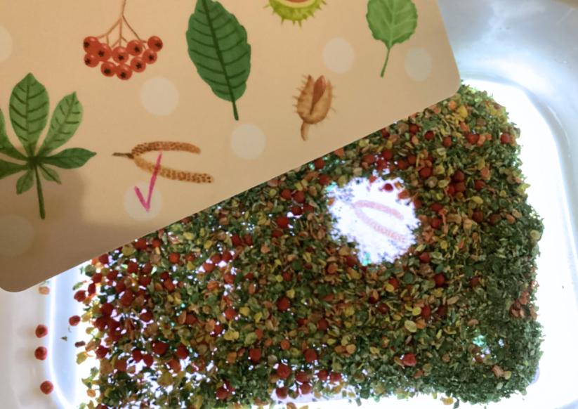 SKŘÍTCI OD JEŘABIN - senzorické hraní - PDF: POLOTOVAR 