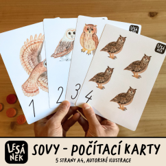 SOVY - POČÍTACÍ KARTY