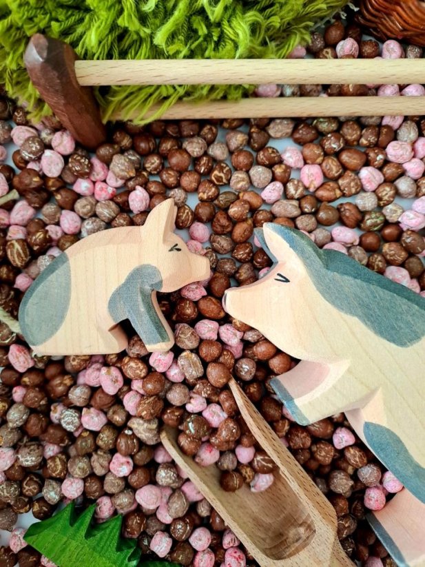 SYPKÁČ Prasátka na farmě