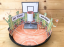SKOČ NA BASKET S KOBYLKOU - aktivita do tácu