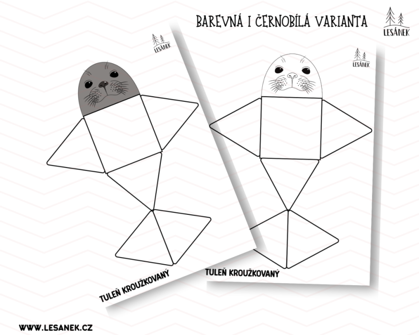 POLÁRNÍ ZVÍŘATA ŠABLONY - HRÁTKY S MAGNETICKOU STAVEBNICÍ - PDF: PDF