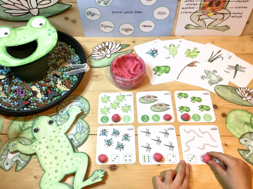 ŽABKA - senzorické hraní - PDF: POLOTOVAR 