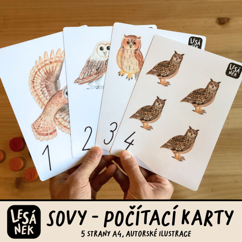 SOVY - POČÍTACÍ KARTY