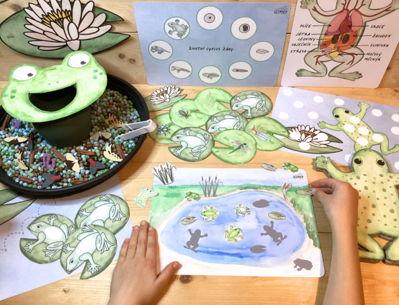 ŽABKA - senzorické hraní - PDF: POLOTOVAR 