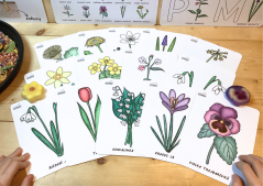 JARNÍ KVĚTINY - senzorické hraní