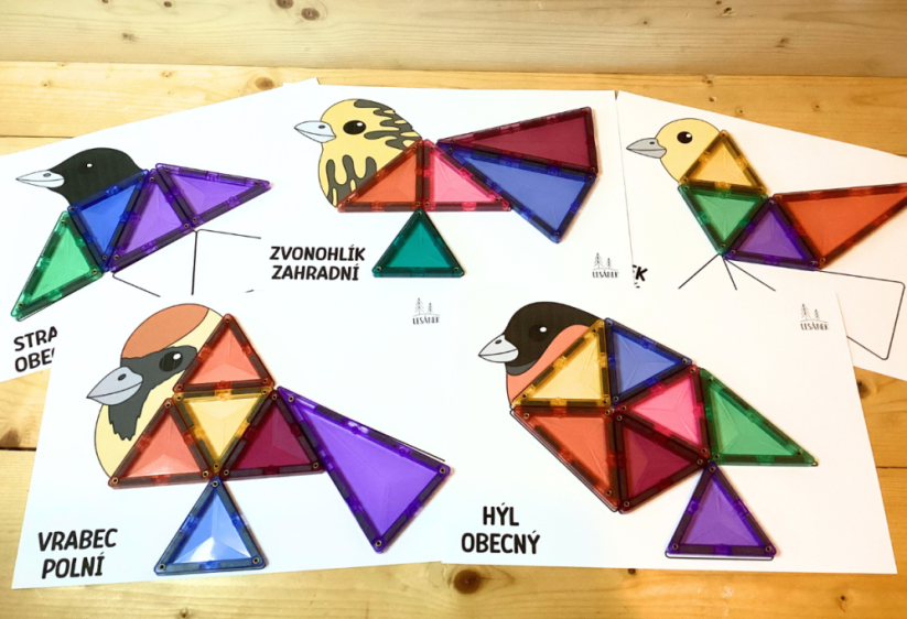 PTÁČCI Z KRMÍTKA - HRÁTKY S MAGNETICKOU STAVEBNICÍ