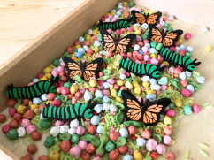 Motýlci a housenky - sada 10ks