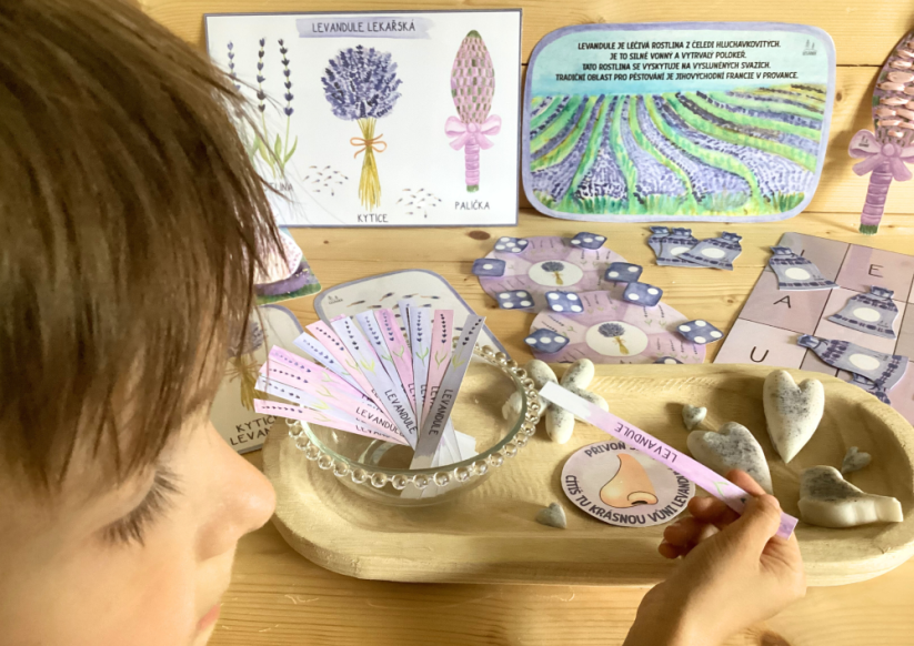 LEVANDULKY - senzorické hraní