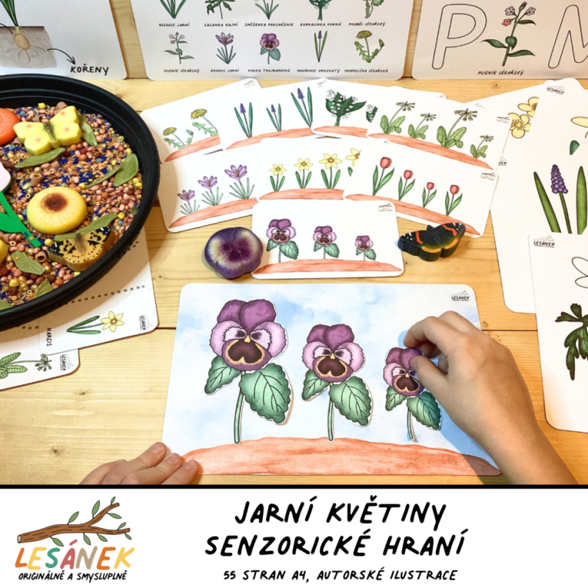 JARNÍ KVĚTINY - senzorické hraní - PDF: POLOTOVAR 