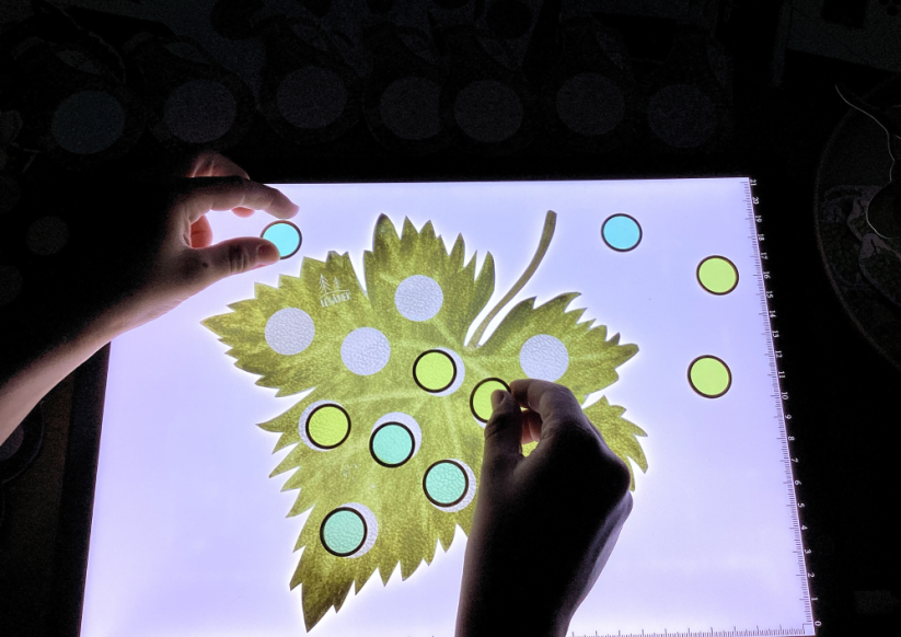 VINNÁ RÉVA - senzorické hraní - PDF: PDF