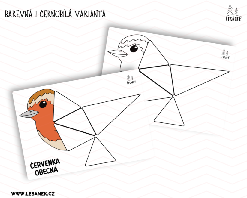 PTÁČCI Z KRMÍTKA - HRÁTKY S MAGNETICKOU STAVEBNICÍ