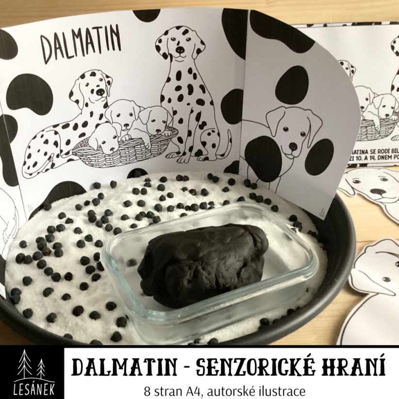 Dalmatin - senzorické hraní