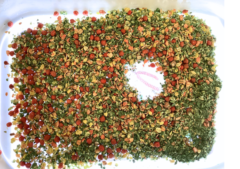 SKŘÍTCI OD JEŘABIN - senzorické hraní - PDF: POLOTOVAR 