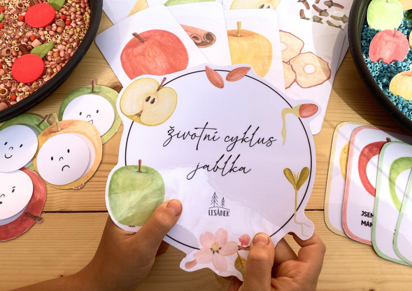 BAREVNÁ JABLÍČKA - senzorické hraní - PDF: POLOTOVAR 