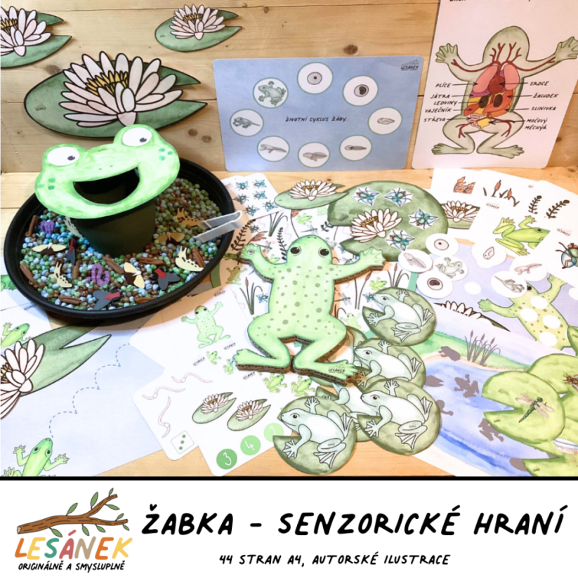 ŽABKA - senzorické hraní - PDF: PDF